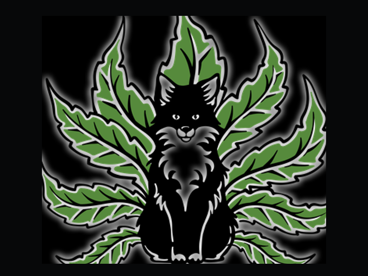 Nine Tails Smoke Shop logo